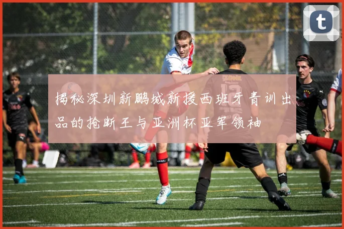 揭秘深圳新鹏城新援西班牙青训出品的抢断王与亚洲杯亚军领袖